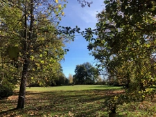 Dpt (32) NOGARO nearby, ELEGANT NOTABLES' HOUSE, economical, from the 19th century, 600M2, centuries-old park, U-shaped outbuildings, 11 ha, no work required, 