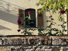Near Plaisance (32) and Maubourguet (65): In a peaceful setting, a beautiful 180m² rural property on 1.5 hectares of wooded land, requiring no work, with no overlooking neighbors... A truly special pl