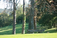 MARCIAC (32): Beautiful castle overlooking 8 hectares, ideal for public reception, events, senior residence, community, shared housing