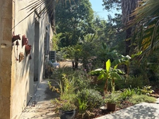 PLAISANCE(32) du Gers: AUTHENTIQUE LONGERE XVIIIs de 240m2, 4chambres, sur jardin paysagé clos de 2.500m2 et piscine hors sol, possibilité de chambres d hotes et/ou petit gîte ou accueil d'un parent,