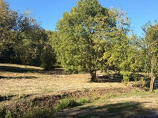 Near Plaisance (32) and Maubourguet (65): In a peaceful setting, a beautiful 180m² rural property on 1.5 hectares of wooded land, requiring no work, with no overlooking neighbors... A truly special pl