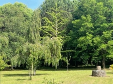  PLAISANCE (32): SANS TRAVAUX, MAISON XVIIIs restaurée avec élégance SUR 240M2 habitables, 6600m2 de jardin,géothermie,  puits, géothermie, grandes dependances environnement bucolique 