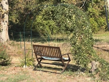 PLAISANCE(32) du Gers: AUTHENTIQUE LONGERE XVIIIs de 240m2, 4chambres, sur jardin paysagé clos de 2.500m2 et piscine hors sol, possibilité de chambres d hotes et/ou petit gîte ou accueil d'un parent,