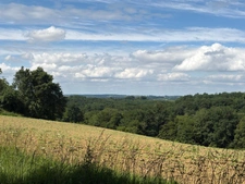  PLAISANCE (32); AUTHENTIC GASCONNE HOUSE 300M2 in its original condition, somewhat hidden, 1HA large outbuildings...