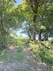 Nogaro(32) 7 km, ANCIENNE METAIRIE GASCONNE 280m2 dont 160m2 habtiables sur 4.5ha, au bout d'un long chemin, CACHEE, SANS VIS A VIS, 5 ha de bois et terres, AU CALME, dépendances, rare