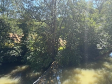MARCIAC(32) proche: AUTHENTIQUE MOULIN SEIGNEURIAL d'EXCEPTION  des XIV-XVIIIs, caché, avec son bief baignable, 1.5 HECTARE, élégante rénovation, meublé, tennis, RARE