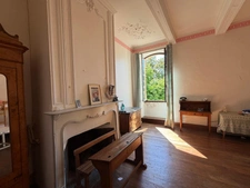 Gers (32), VERY BEAUTIFUL FAMILY CASTLE, 45HA with outbuildings, somewhat hidden, in a dominant position, a beautiful history 