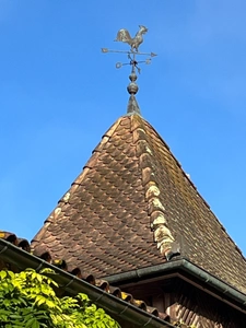 Dpt Gers (32), TRES ELEGANTE PROPRIETE  RURALE  sur 4.5 hectares, près de Nogaro, Aire, Eauze, MAISON de MAITRE, GITE, deux piscines neuves, parc séculaire, SANS NUISANCE 