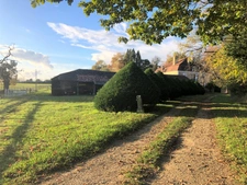 Dpt (32) NOGARO nearby, ELEGANT NOTABLES' HOUSE, economical, from the 19th century, 600M2, centuries-old park, U-shaped outbuildings, 11 ha, no work required, 