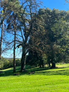 MARCIAC (32): Beautiful castle overlooking 8 hectares, ideal for public reception, events, senior residence, community, shared housing