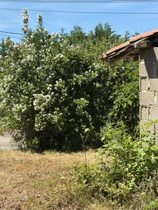  PLAISANCE (32); AUTHENTIC GASCONNE HOUSE 300M2 in its original condition, somewhat hidden, 1HA large outbuildings...