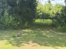 PLAISANCE (32) nearby: BEAUTIFUL renovated COUNTRY HOUSE 170m2, economical, no NEIGHBORS, QUIET location, enclosed garden 3300m2, outbuildings 