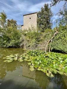 Department (32): ELEGANT 19TH CENTURY CASTLE, requiring no work, medieval foundations with moat, swimming pool, on 9100m2 enclosed garden. 