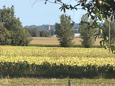 PLAISANCE(32) du Gers: AUTHENTIQUE LONGERE XVIIIs de 240m2, 4chambres, sur jardin paysagé clos de 2.500m2 et piscine hors sol, possibilité de chambres d hotes et/ou petit gîte ou accueil d'un parent,