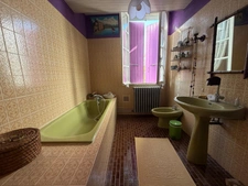 PLAISANCE (32) centre, élegante MAISON DE MAITRE XVIIIs, sans travaux, 190m2 sur 800m2 de jardin clos et paysagé, belle dépendance, chauffage central , 4chambres dont 1 au rez-de-chaussée, salon 44m2