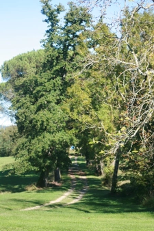 MARCIAC (32): Beautiful castle overlooking 8 hectares, ideal for public reception, events, senior residence, community, shared housing
