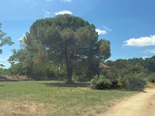 MARCIAC (32): Former seigniory, beautiful 14th-century castle on +3hectares, hidden at the end of the road, no neighbors, in the countryside, 500m2 of living space, heated swimming pool, discover the 