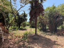PLAISANCE du GERS proche(32): ANCIENNE PROPRIETE BOURGEOISE avec dépendances, bois, petit etang, 2 hectares,CALME, sans vis à vis,