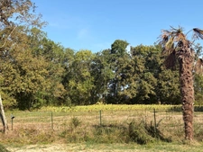 PLAISANCE(32) du Gers: AUTHENTIQUE LONGERE XVIIIs de 240m2, 4chambres, sur jardin paysagé clos de 2.500m2 et piscine hors sol, possibilité de chambres d hotes et/ou petit gîte ou accueil d'un parent,
