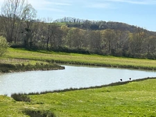 Élégant château du XIXᵉ siècle sur 70 ha, vue panoramique sur les Pyrénées, à 1h30 de Toulouse-Blagnac.