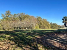 MARCIAC (32), MAISON DE CHARME de 1995, 130 m² habitables, 3200m2 terrain arboré, un peu cachée, vue, 4 chambres, grand sejour, SANS NUISANCE 