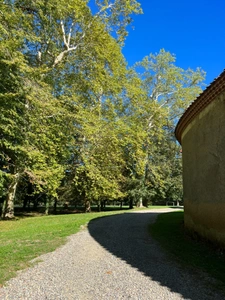 MARCIAC (32): Beautiful castle overlooking 8 hectares, ideal for public reception, events, senior residence, community, shared housing