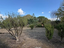 Near Plaisance (32) and Maubourguet (65): In a peaceful setting, a beautiful 180m² rural property on 1.5 hectares of wooded land, requiring no work, with no overlooking neighbors... A truly special pl