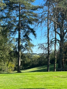 MARCIAC (32): Beautiful castle overlooking 8 hectares, ideal for public reception, events, senior residence, community, shared housing