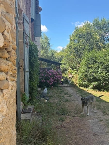 MARCIAC (32): Former seigniory, beautiful 14th-century castle on +3hectares, hidden at the end of the road, no neighbors, in the countryside, 500m2 of living space, heated swimming pool, discover the 
