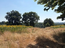  PLAISANCE (32); AUTHENTIC GASCONNE HOUSE 300M2 in its original condition, somewhat hidden, 1HA large outbuildings...