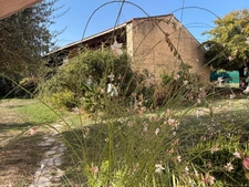 PLAISANCE (32) centre, élegante MAISON DE MAITRE XVIIIs, sans travaux, 190m2 sur 800m2 de jardin clos et paysagé, belle dépendance, chauffage central , 4chambres dont 1 au rez-de-chaussée, salon 44m2