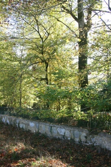 Dpt (32) NOGARO nearby, ELEGANT NOTABLES' HOUSE, economical, from the 19th century, 600M2, centuries-old park, U-shaped outbuildings, 11 ha, no work required, 