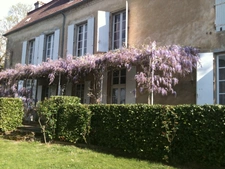 Dpt (32) NOGARO nearby, ELEGANT NOTABLES' HOUSE, economical, from the 19th century, 600M2, centuries-old park, U-shaped outbuildings, 11 ha, no work required, 