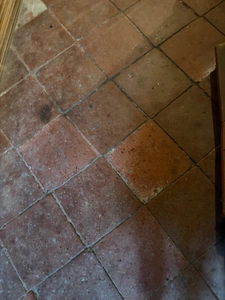  AIGNAN (32): BEL ENSEMBLE IMMOBILIER de caractere  A RENOVER 300m2 + local AVEC vitrine, jardin clos 360M2 , ideal investisseur, brocante, artiste, familles