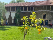 PLAISANCE DU GERS 10 min: ELEGANTE MAISON DE CARACTERE, restaurée par architecte, 320m2, 4700m2 en partie clos