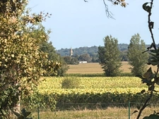 PLAISANCE(32) du Gers: AUTHENTIQUE LONGERE XVIIIs de 240m2, 4chambres, sur jardin paysagé clos de 2.500m2 et piscine hors sol, possibilité de chambres d hotes et/ou petit gîte ou accueil d'un parent,