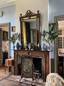 Elegant 18th-century château, requiring no work, on 1 hectare enclosed by walls, landscaped garden, chapel, orangery, outbuildings, ideal for family or events, near Pau, Lourdes, Marciac, Tarbes...