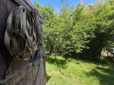 Nogaro(32) 7 km, ANCIENNE METAIRIE GASCONNE 280m2 dont 160m2 habtiables sur 4.5ha, au bout d'un long chemin, CACHEE, SANS VIS A VIS, 5 ha de bois et terres, AU CALME, dépendances, rare