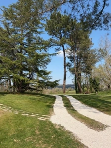 AIGNAN(32) : ELEGANTE MAISON TRADITIONNELLE  des années 80, SANS TRAVAUX, 150m2 habitables, bien située à AIGNAN, sur 2.000m2, les commerces A PIED !