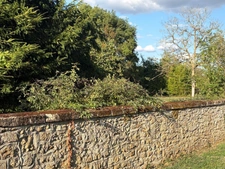 Near Plaisance (32) and Maubourguet (65): In a peaceful setting, a beautiful 180m² rural property on 1.5 hectares of wooded land, requiring no work, with no overlooking neighbors... A truly special pl