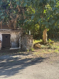 Near Plaisance (32) and Maubourguet (65): In a peaceful setting, a beautiful 180m² rural property on 1.5 hectares of wooded land, requiring no work, with no overlooking neighbors... A truly special pl