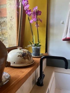  PLAISANCE (32): SANS TRAVAUX, MAISON XVIIIs restaurée avec élégance SUR 240M2 habitables, 6600m2 de jardin,géothermie,  puits, géothermie, grandes dependances environnement bucolique 