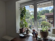 Near Plaisance (32) and Maubourguet (65): In a peaceful setting, a beautiful 180m² rural property on 1.5 hectares of wooded land, requiring no work, with no overlooking neighbors... A truly special pl