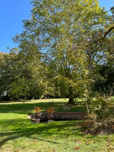 Dpt (32) NOGARO nearby, ELEGANT NOTABLES' HOUSE, economical, from the 19th century, 600M2, centuries-old park, U-shaped outbuildings, 11 ha, no work required, 