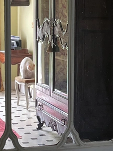Marciac (32) VERY ELEGANT MANOR HOUSE, requiring no work, with an artist's house or gîte, walled centuries-old park