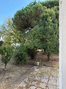 Near Plaisance (32) and Maubourguet (65): In a peaceful setting, a beautiful 180m² rural property on 1.5 hectares of wooded land, requiring no work, with no overlooking neighbors... A truly special pl