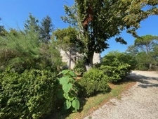 Department (32): ELEGANT 19TH CENTURY CASTLE, requiring no work, medieval foundations with moat, swimming pool, on 9100m2 enclosed garden. 