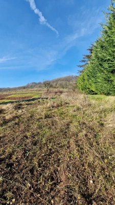 Terrain à vendre 795m² VECKRING (57)