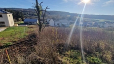 Terrain à vendre 721m² VECKRING (57)