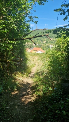 TERRAIN DE LOISIR DE 6 835 M2 À ARS-SUR-MOSELLE